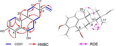 Cytotoxicity and molecular-docking approach of a new rosane-type diterpenoid from the roots of Euphorbia nematocypha